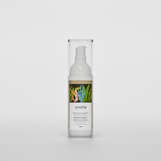 Tinh chất cấp nước phục hồi dưỡng sáng da - Hydrating Serum