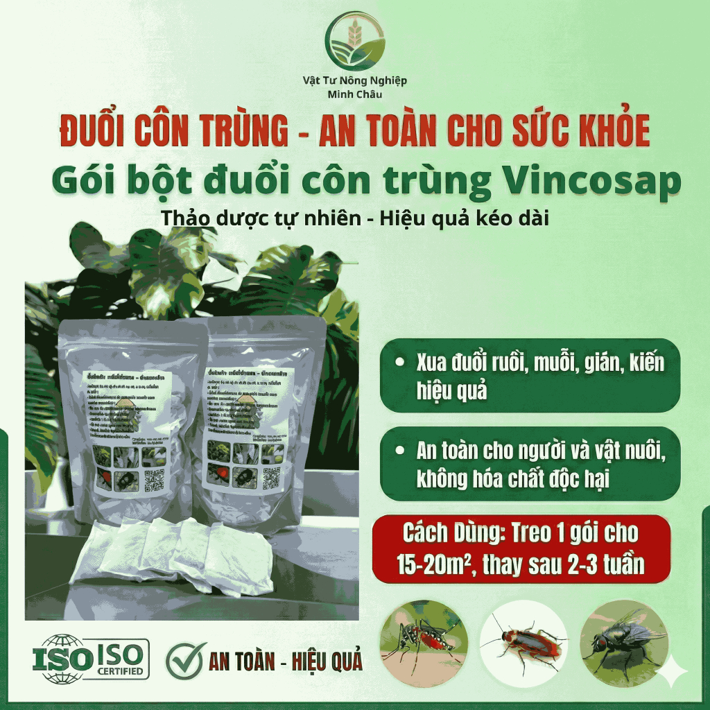 [Freeship Xtra] Combo 3 Túi Bột Treo Sâu Đục Thân Thái Lan