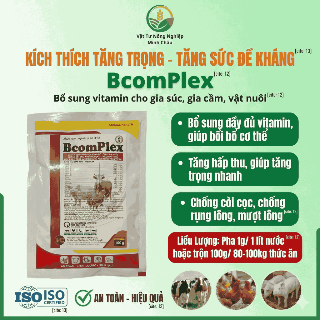 BCOMPLEX – VITAMIN TỔNG HỢP CHO GIA SÚC, GIA CẦM (100 Gram) Chống rụng lông – xù lông – c.ắn đuôi tăng lớn cho vật nuôi