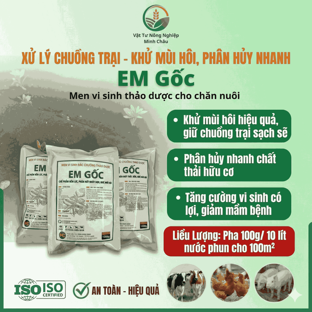 [Freeship Xtra] Gói 1 Kg Men Vi Sinh Rắc Chuồng Thảo Dược EM GỐC khử mùi hôi, hấp thu khí độc, giảm mầm bệnh