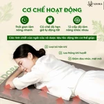 [DEAL TRI ÂN TẾT 2026] Combo Gối & Thảm Ngải Cứu Đông Y Cao Cấp Chính Hãng ADORA | Tặng Thêm Lõi Ngải Cứu & Hoa Hồng Khô — ảnh 3
