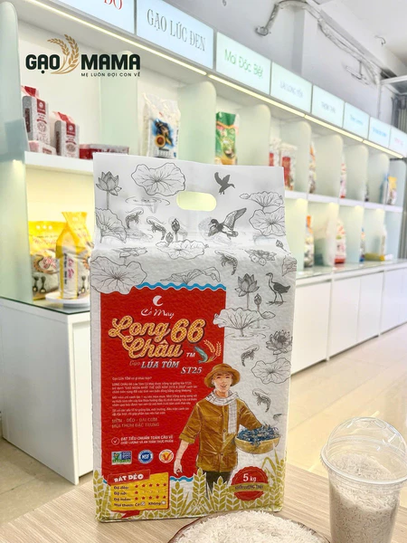 Gạo Long Châu 66 St25 Lúa Tôm 5kg - Cỏ May - Cơm Mềm, Dẻo Dai, Mùi Thơm Đặc Trưng Tinh Tế - Gạo Mama