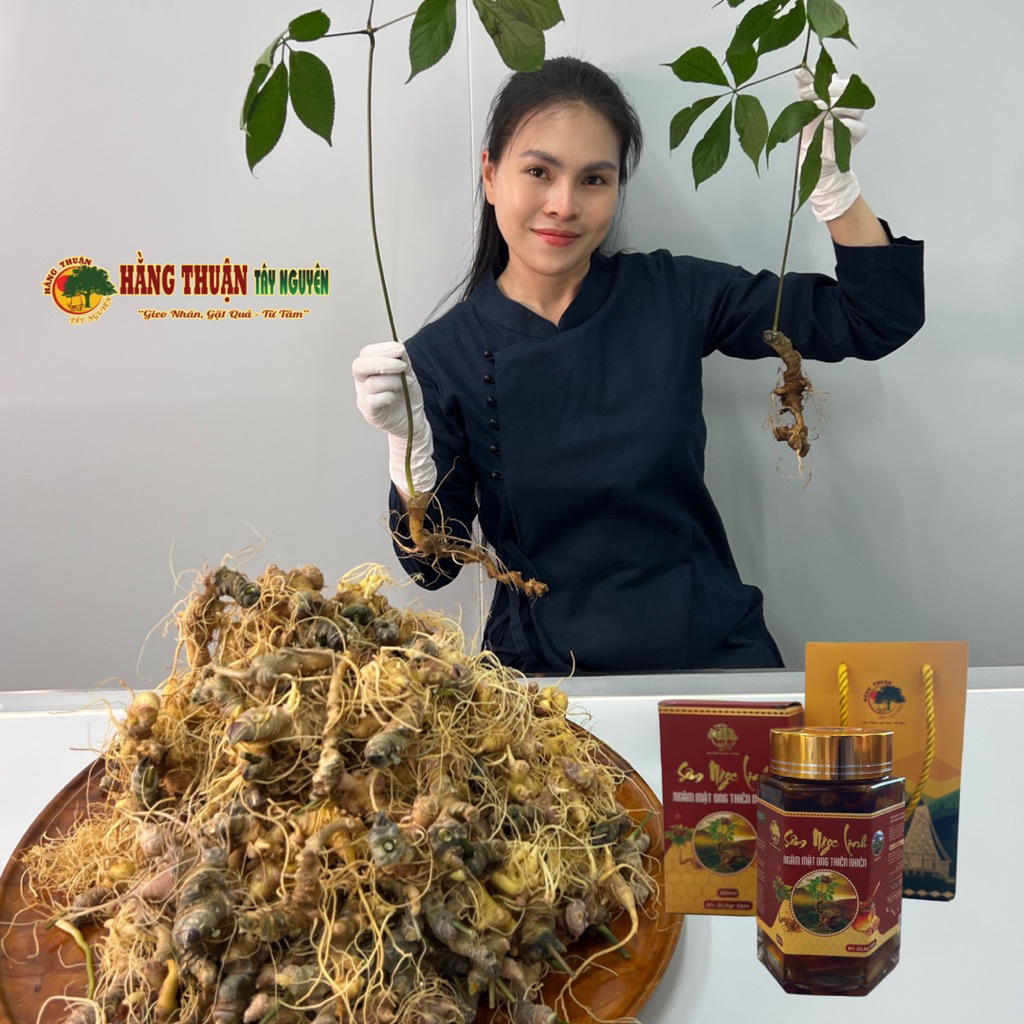 Sâm Ngọc Linh Ngâm Mật Ong Rừng Hằng Thuận Tây Nguyên