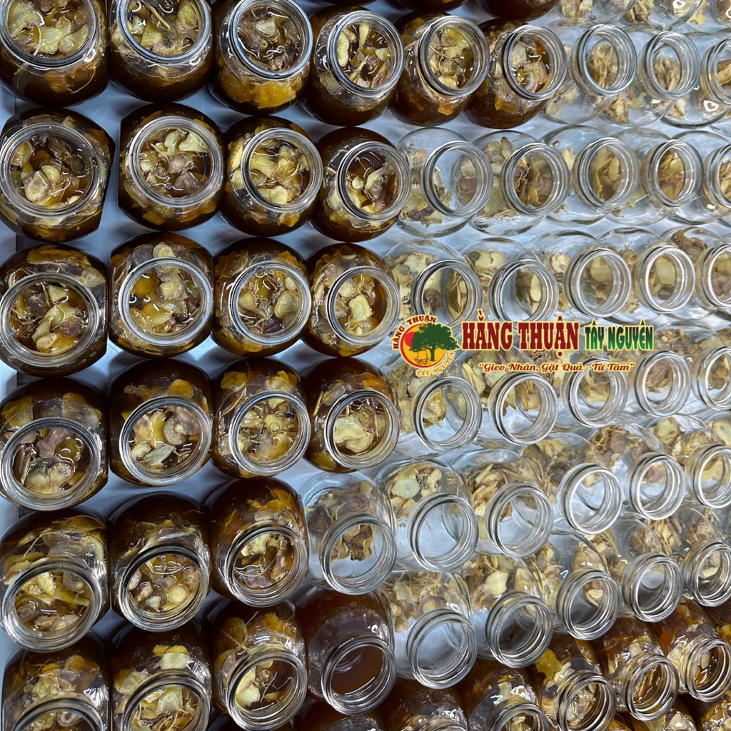 Sâm Ngọc Linh Ngâm Mật Ong Rừng Hằng Thuận Tây Nguyên