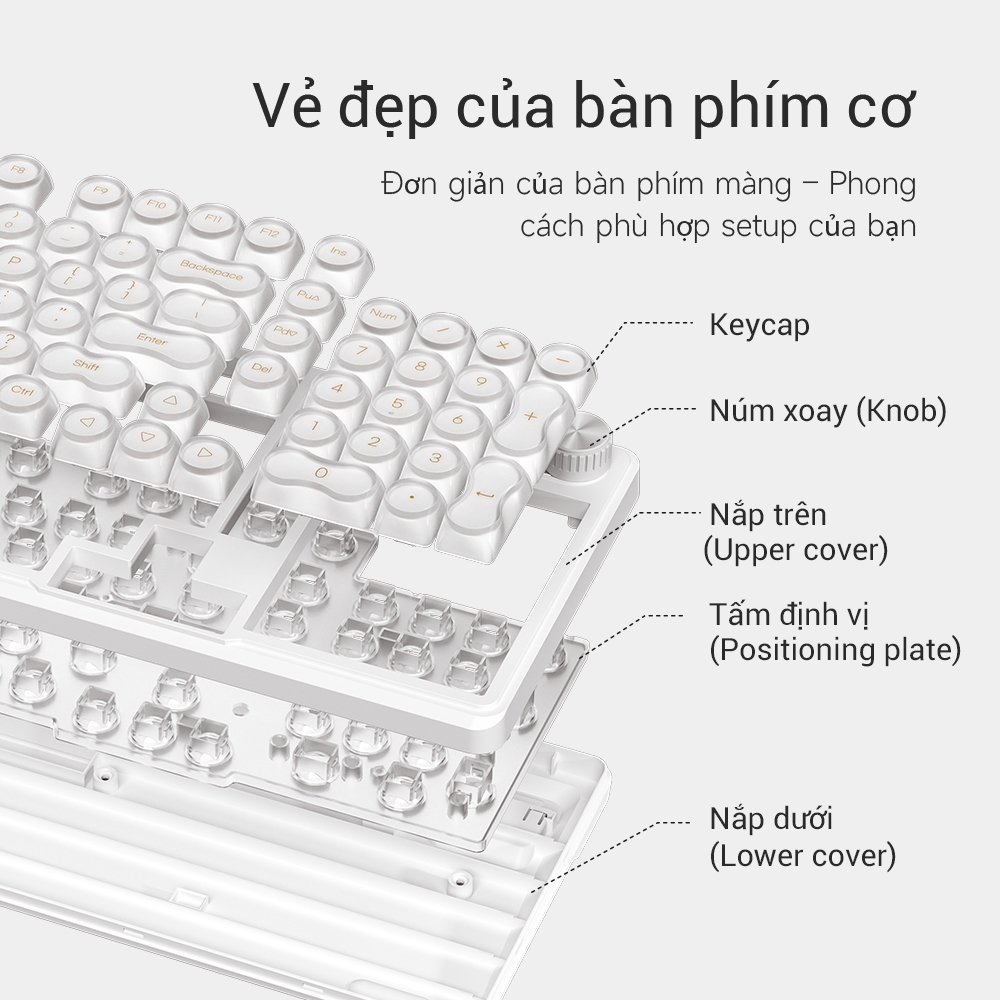 Bàn Phím Có Dây FURYCUBE IP98, LED RGB Keyboard, Gõ Êm Chống Ồn Cho Win/ MacOS, Văn Phòng Có / Game | BigBuy360 - bigbuy360.vn