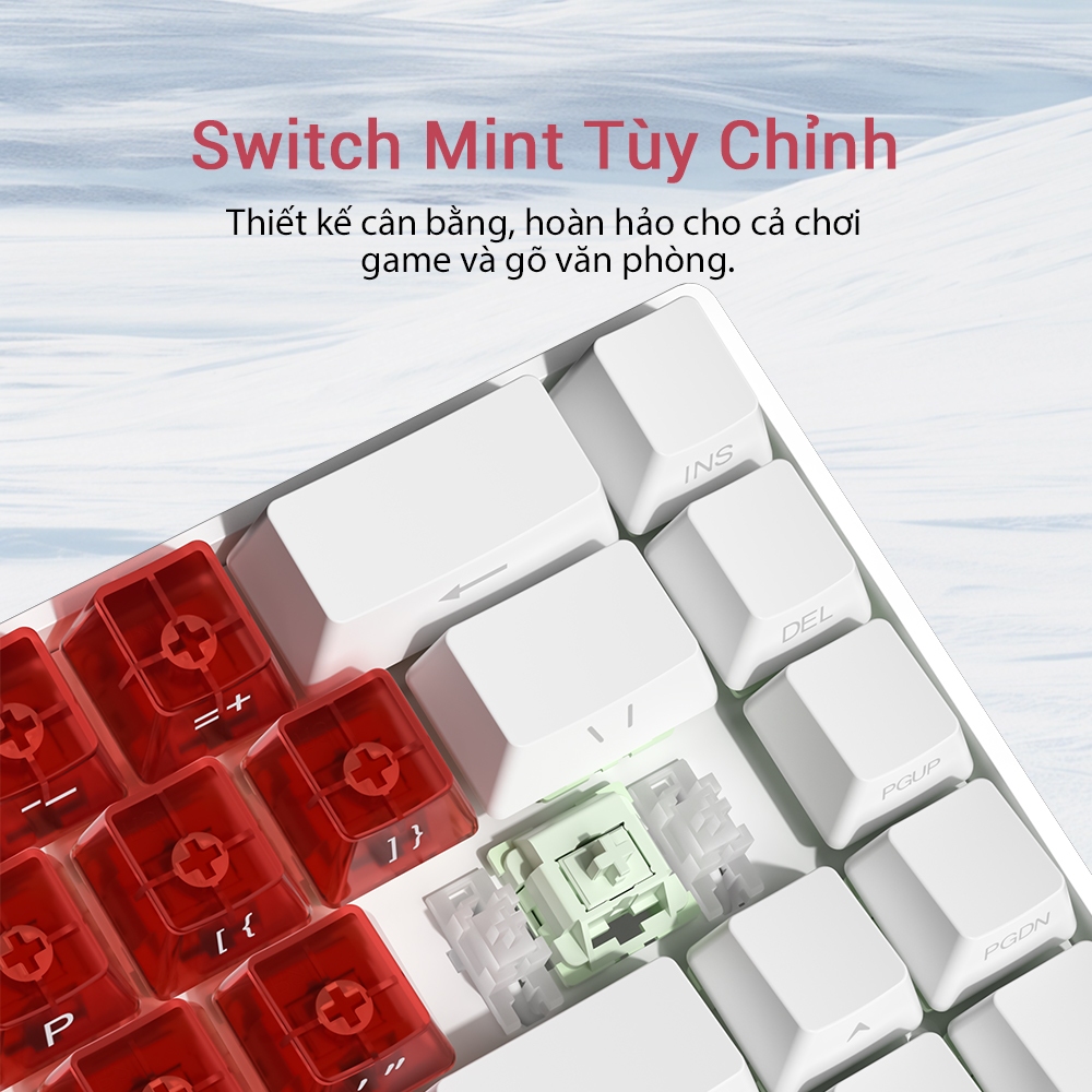 Bàn Phím Cơ 68 Phím ZIFRIEND TK68, Hot-Swap, LED RGB, Êm Tay, Gọn Gàng, Văn Phòng & Game | BigBuy360 - bigbuy360.vn