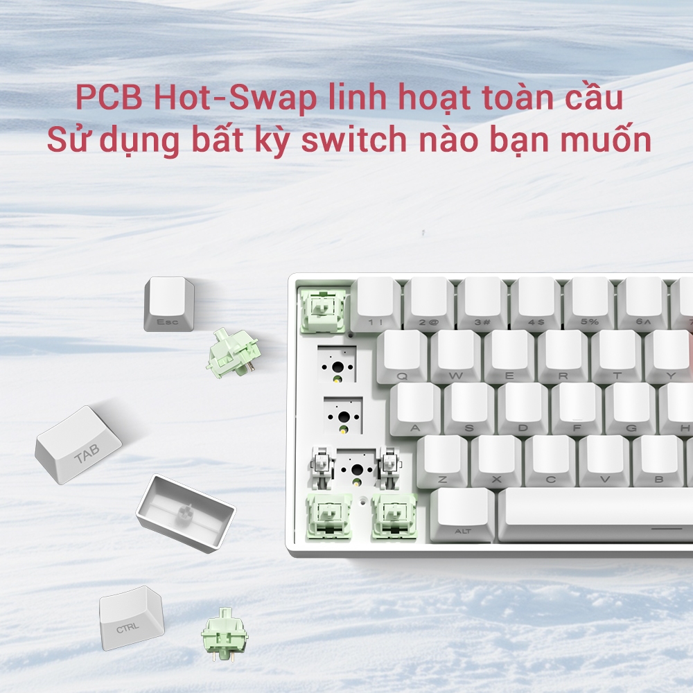 Bàn Phím Cơ 68 Phím ZIFRIEND TK68, Hot-Swap, LED RGB, Êm Tay, Gọn Gàng, Văn Phòng & Game | BigBuy360 - bigbuy360.vn