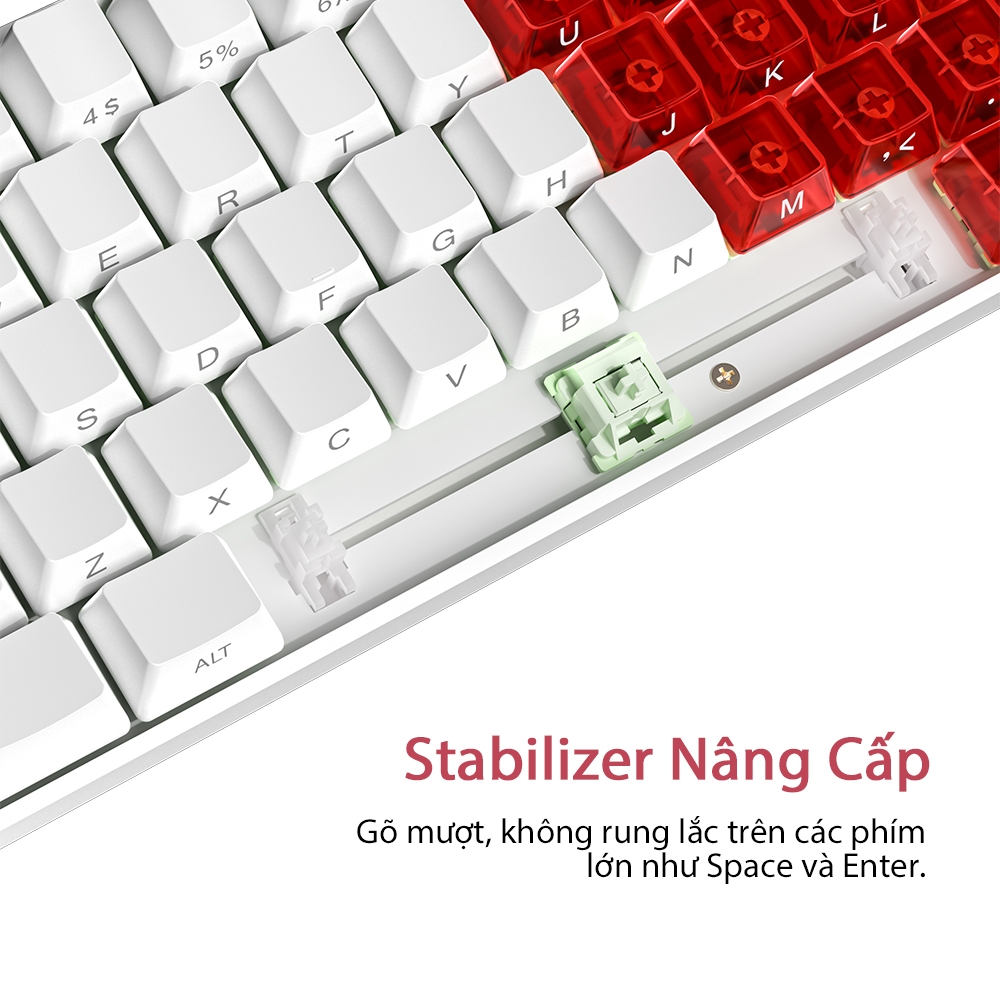 Bàn Phím Cơ 68 Phím ZIFRIEND TK68, Hot-Swap, LED RGB, Êm Tay, Gọn Gàng, Văn Phòng & Game | BigBuy360 - bigbuy360.vn