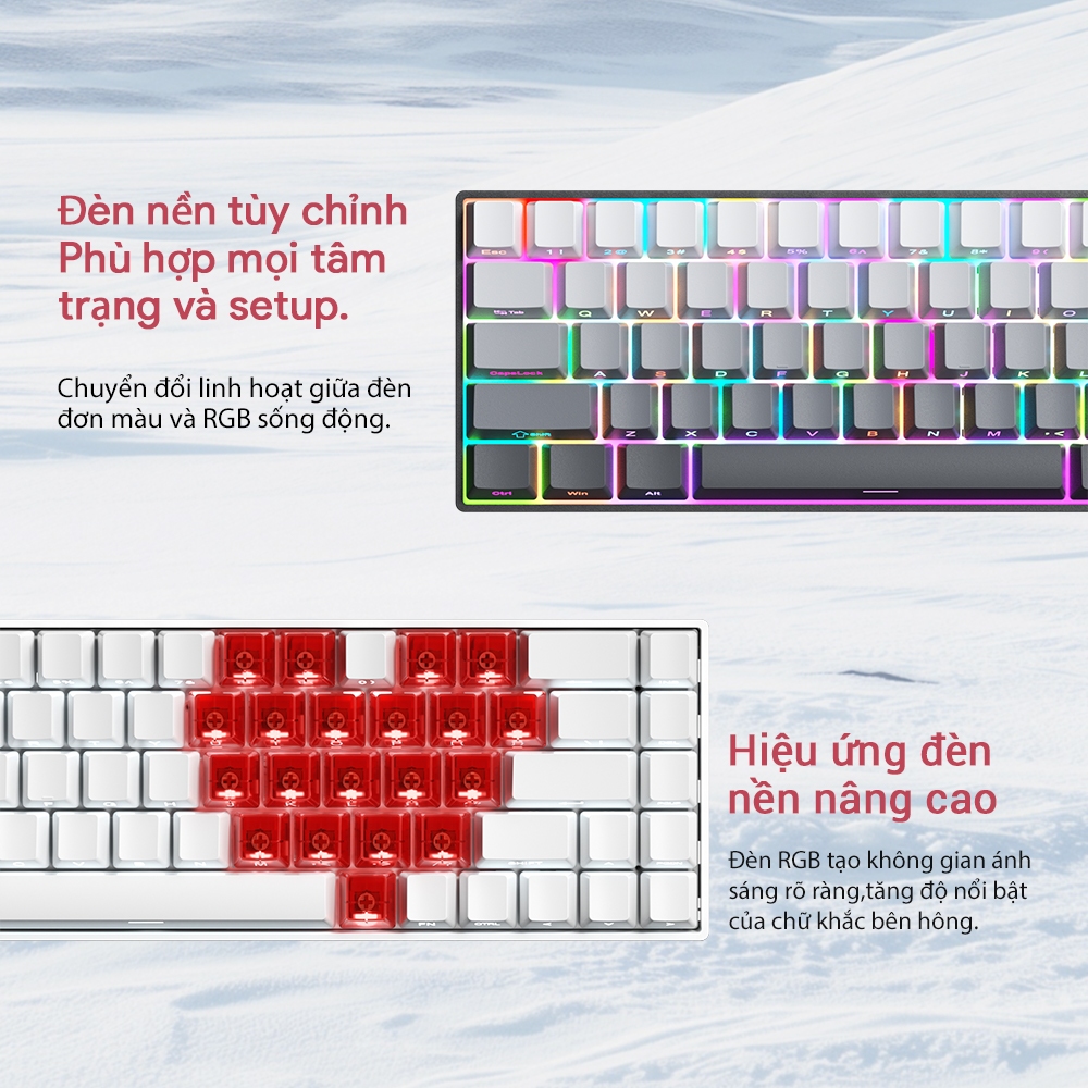 Bàn Phím Cơ 68 Phím ZIFRIEND TK68, Hot-Swap, LED RGB, Êm Tay, Gọn Gàng, Văn Phòng & Game | BigBuy360 - bigbuy360.vn
