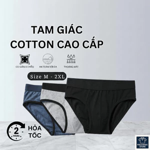 Quần Sịp Nam Tam Giác Cotton, Mix màu Ngẫu Nhiên Basic, Kèm Hộp Đựng Lịch Sự