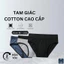 Quần Sịp Nam Tam Giác Cotton, Mix màu Ngẫu Nhiên Basic, Kèm Hộp Đựng Lịch Sự