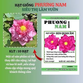 10 Hạt - Hạt Giống Hoa Sen Quan Âm Mix Phương Nam