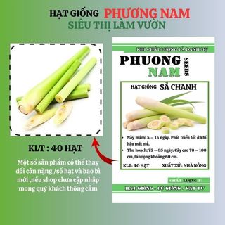 40 Hạt - Hạt Giống  Sả Chanh Phương Nam