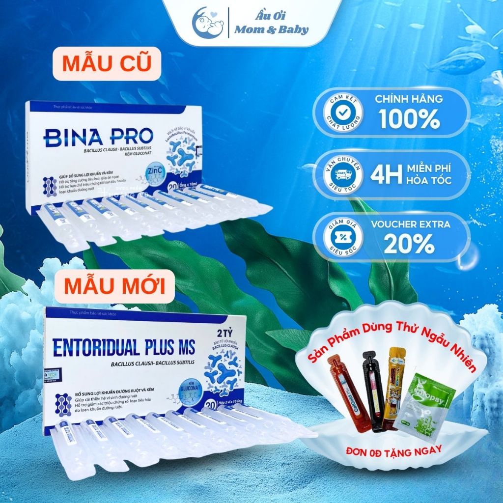 [HÀNG CTY + QUÀ] Men Vi Sinh Hỗ Trợ Tiêu Hóa BINA PRO Hỗ Trợ Tăng Cường Hệ Vi Sinh Đường Ruột BINAPRO