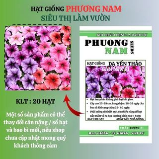 20 Hạt - Hạt Giống Hoa Dạ Yến Thảo Gân F1 Mix Phương Nam