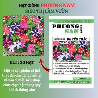 20 Hạt - Hạt Giống Hoa Dạ Yến Thảo Sọc F1 Phương Nam