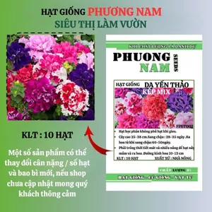 10 Hạt - Hạt Giống Hoa Dạ Yến Thảo Kép Mix F1 Phương Nam