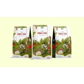 TRÀ MÂM XÔI – 100% THIÊN NHIÊN  Hỗ trợ thanh lọc cơ thể – Cân bằng nội tiết – Phù hợp phụ nữ