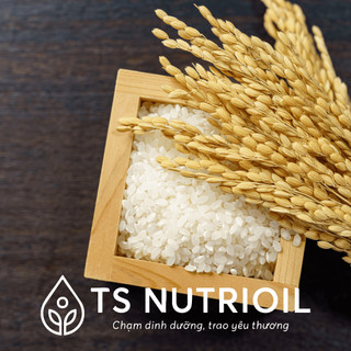Gạo Japonica TS Nutrioil (Gạo Nhật) - Hạt Tròn, Dẻo Mềm, Làm Sushi, Nấu Cháo Ăn Dặm