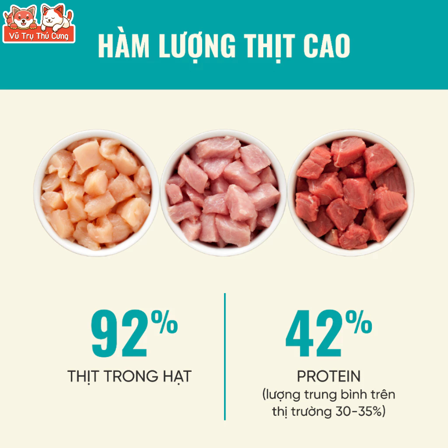Hạt Cho Mèo Bite Of Wild F42 Thành Phần 6 Loại Cá Biển, Protein 42%, Giúp Mượt Lông Da