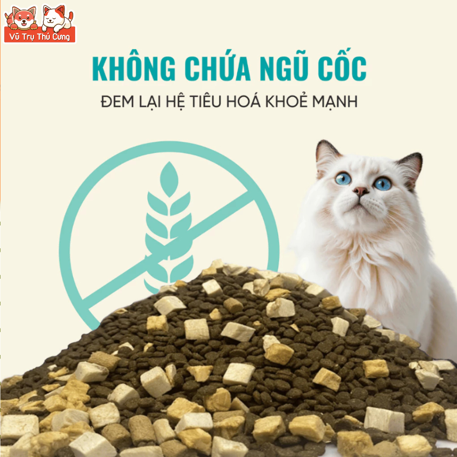Hạt Cho Mèo Bite Of Wild F42 Thành Phần 6 Loại Cá Biển, Protein 42%, Giúp Mượt Lông Da