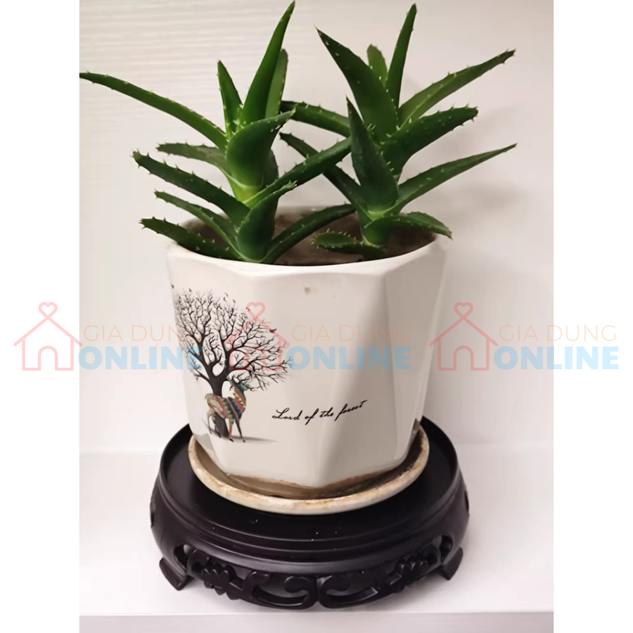 Đế chậu cây/bể cá tròn bằng nhựa ABS hoa văn dày dặn chịu tải trọng cao