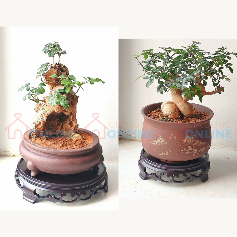 Đế chậu cây/bể cá tròn bằng nhựa ABS hoa văn dày dặn chịu tải trọng cao