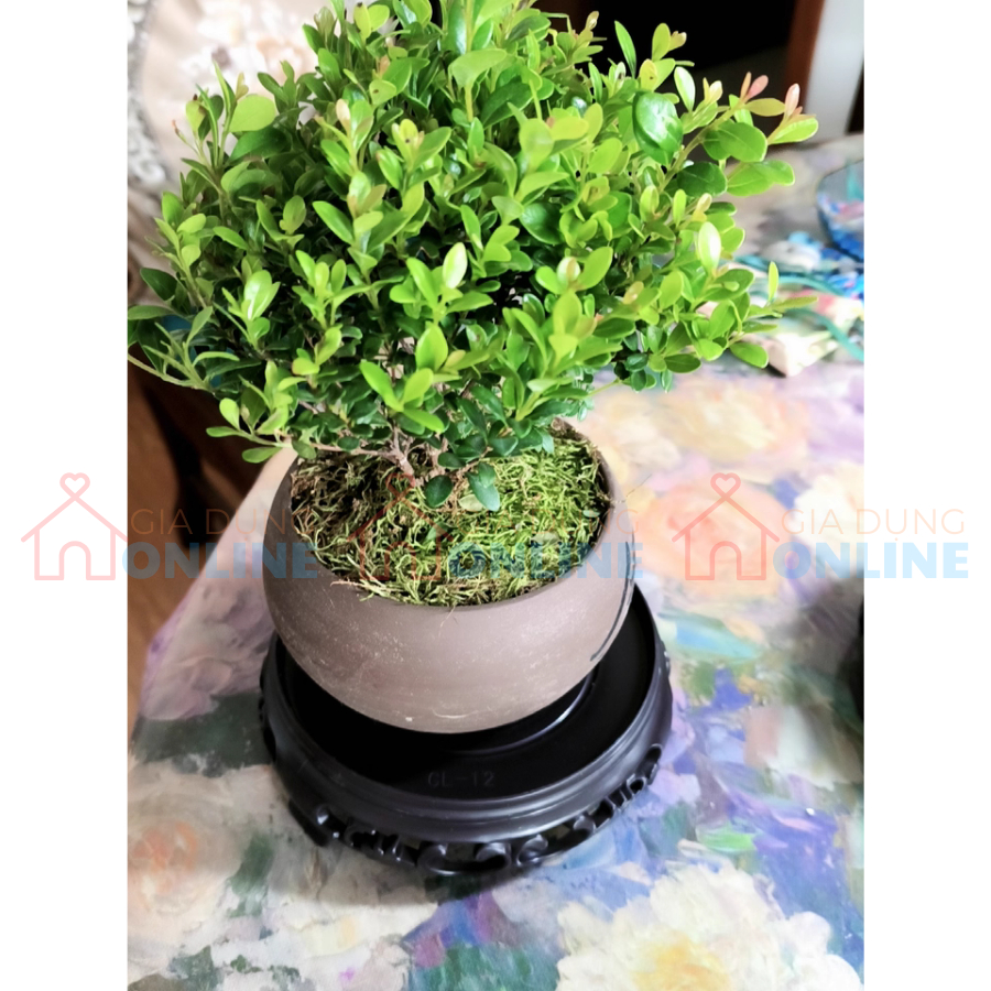 Đế chậu cây/bể cá tròn bằng nhựa ABS hoa văn dày dặn chịu tải trọng cao