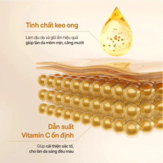 One-day's you - Toner Pad Dưỡng Ẩm | Eco - Intense Ceramide Ampoule 90 Miếng  | Clycos Phân Phối
