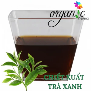 CHIẾT XUẤT TRÀ XANH - Camellia sinensis leaf extract (VIỆT NAM)