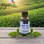CHIẾT XUẤT TRÀ XANH (VIỆT NAM) 50mL 100mL
