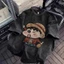 Áo thun nam nữ - Crayon Shin-chan tay ngắn-100% cotton-dáng rộng-mềm mại thoáng mát-thời trang đa năng-áo thoải mái