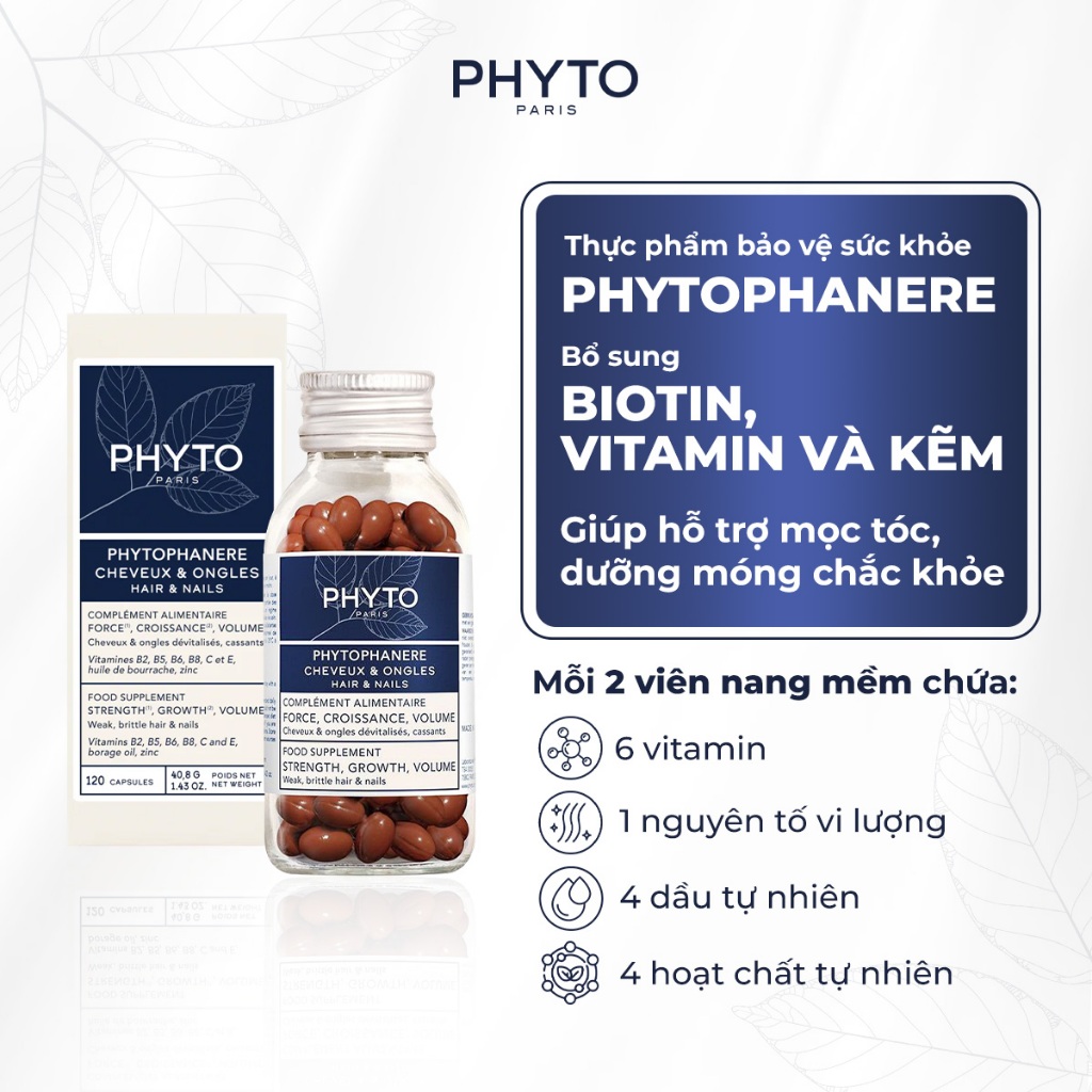 Combo 1 Serum nam PHYTOCYANCE (Hộp 12 ống) và 1 Hộp viên uống PHYTO Phanere (120 viên) - Hỗ trợ mọc và giảm rụng tóc