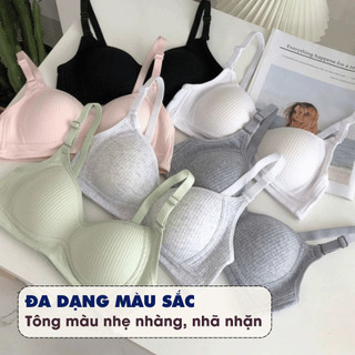 [ MẪU MỚI ] Áo Ngực Nữ Cotton Gân Mềm Thoải Mái, Áo Lót Nữ Không Gọng Mặc Hằng Ngày AMYBRA A414