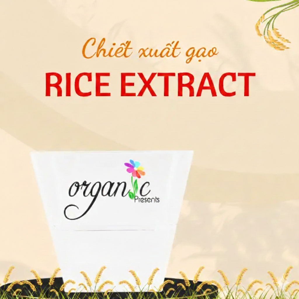 CHIẾT XUẤT GẠO (RICE EXTRACT - SPAIN)