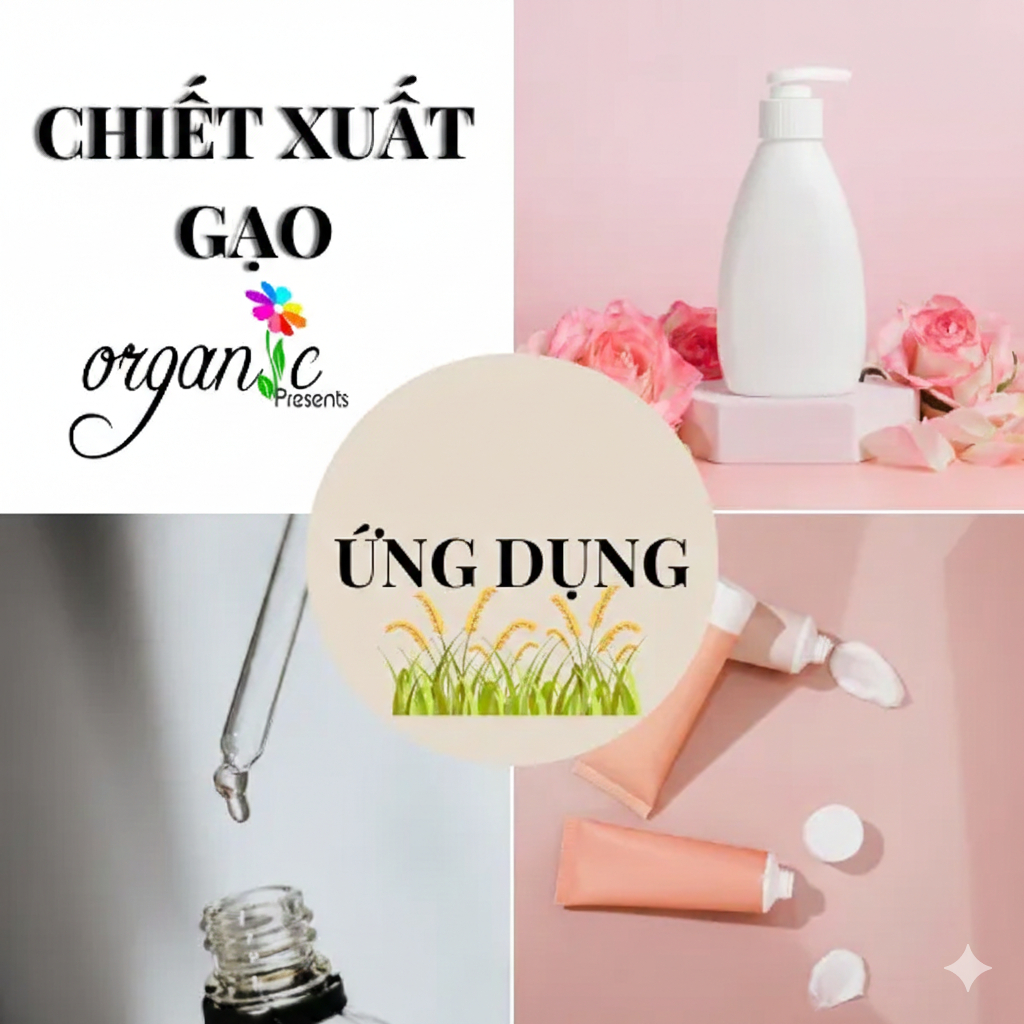 CHIẾT XUẤT GẠO (RICE EXTRACT - SPAIN)