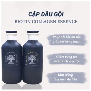 Cặp gội xả Voudioty biotin COLLAGEN ESSENCE dầu gội dầu xả biotin collagen 500ml - Kosmi Beauty
