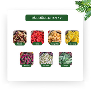 [Mua 1 tặng 1] Trà Dưỡng Nhan 7 Vị - Hỗ trợ làm sáng da, đẹp dáng, cân bằng nội tiết tố - Tiệm Trà Việt