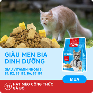 Thức ăn cho mèo MRVET COMBO SIÊU DINH DƯỠNG TOÀN DIỆN cân bằng dinh dưỡng, hỗ trợ sức khỏe tim mạch