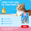 Thức Ăn Cho Mèo MRVET T2 Combo 2 Gói 1KG Tăng Cường Omega 3 Chăm Da Dưỡng Lông Cho Mèo Mọi Lứa Tuổi