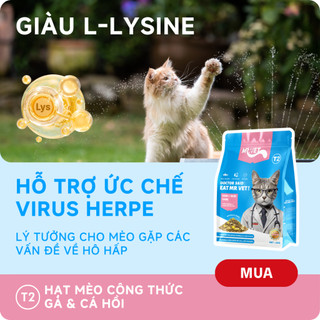 Thức Ăn Cho Mèo MRVET T2 Combo 4 Gói 1KG Tăng Cường Omega 3 Chăm Da Dưỡng Lông Cho Mèo Mọi Lứa Tuổi