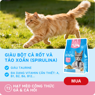 Thức ăn cho mèo MRVET COMBO SIÊU DINH DƯỠNG TOÀN DIỆN cân bằng dinh dưỡng, hỗ trợ sức khỏe tim mạch