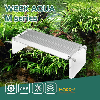 Đèn Week Raptor Pro - series M - Chỉnh App - Dùng Cho Bể Cá Cảnh, Thuỷ Sinh