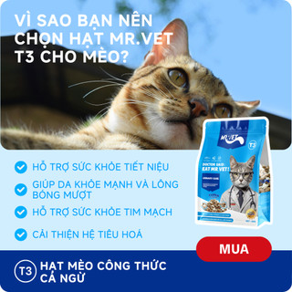 Thức Ăn Cho Mèo MRVET Dạng Hạt T3 Gói 50G Cải Thiện Sức Khoẻ Đường Tiết Niệu Cho Mèo Mọi Lứa Tuổi