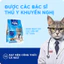 Thức Ăn Cho Mèo MRVET Dạng Hạt T3 Gói 1KG Cải Thiện Sức Khoẻ Đường Tiết Niệu Cho Mèo Mọi Lứa Tuổi