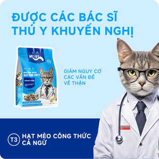 Thức Ăn Cho Mèo MRVET Dạng Hạt T3 Gói 50G Cải Thiện Sức Khoẻ Đường Tiết Niệu Cho Mèo Mọi Lứa Tuổi