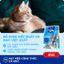 Thức Ăn Cho Mèo MRVET Dạng Hạt T3 Gói 1KG Cải Thiện Sức Khoẻ Đường Tiết Niệu Cho Mèo Mọi Lứa Tuổi
