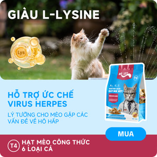 Thức Ăn Cho Mèo MRVET Dạng Hạt T4 Combo 6 Gói 1KG Giảm Mùi Hôi Chất Thải Dành Cho Mèo Nuôi Trong Nhà