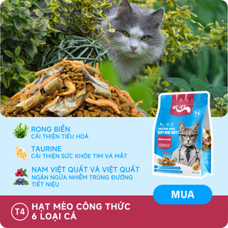 Thức ăn cho mèo MRVET COMBO BÉO KHỎE BÉO ĐẸP, hỗ trợ tiêu hóa, kiểm soát mùi hôi chất thải