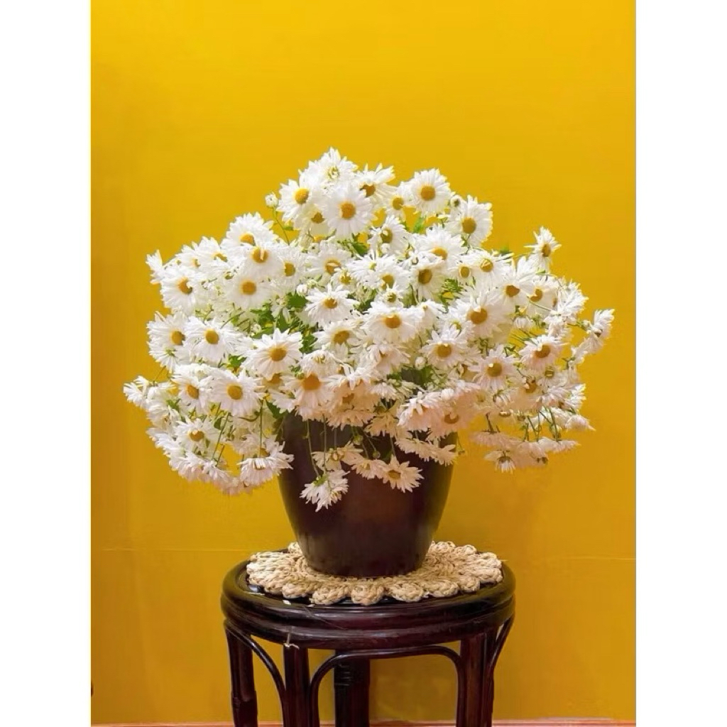 Thảm cói , tấm lót cói lót bàn ăn , lót bình hoa , treo tường oDecor